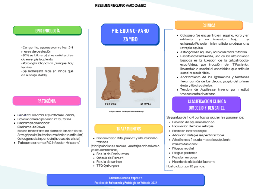 Miniatura del documento PIE-METATARSUS-ADDUCTUS-3.pdf