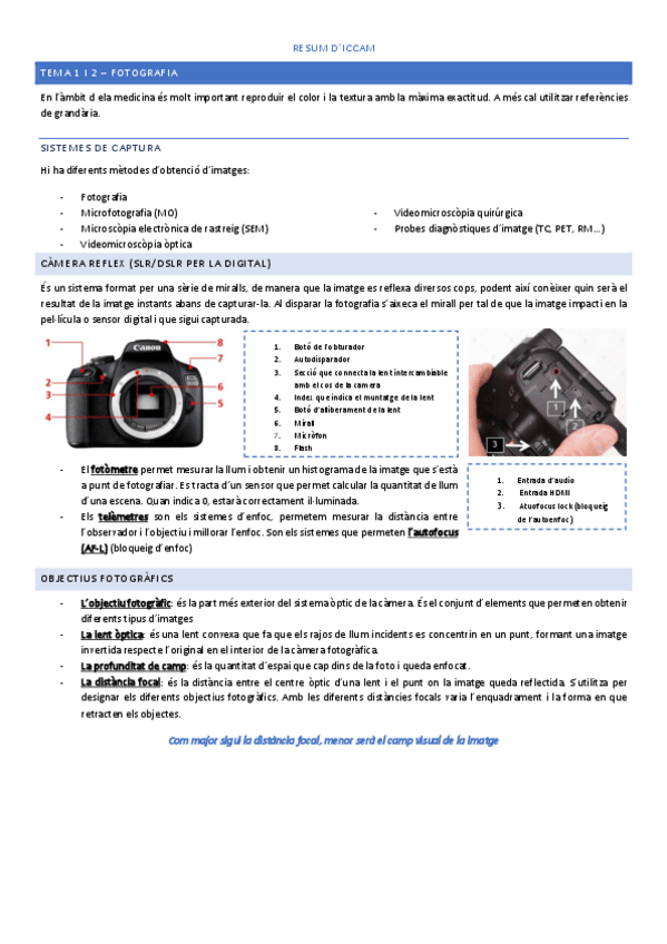 Miniatura del documento RESUM-ICCAM.pdf