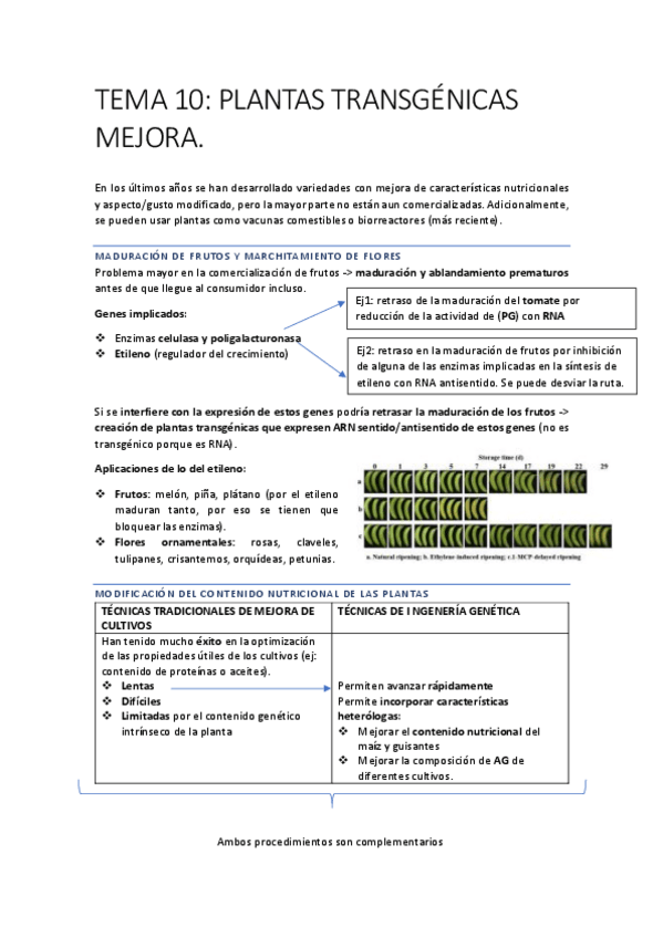Miniatura del documento INGENIERIA-71-77.pdf