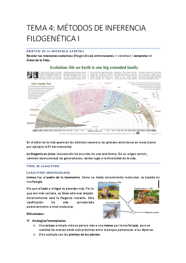 Miniatura del documento EVOLUCIONN-24-35.pdf