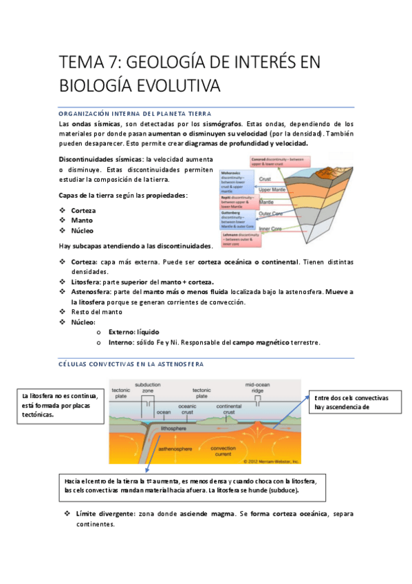 Miniatura del documento EVOLUCIONN-Recuperado-automaticamente-54-63.pdf
