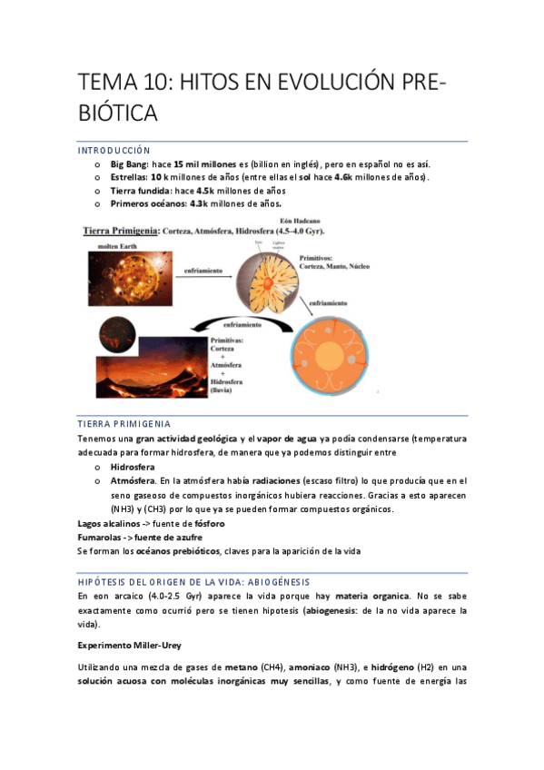 Miniatura del documento EVOLUCIONN-Recuperado-automaticamente-75-79.pdf