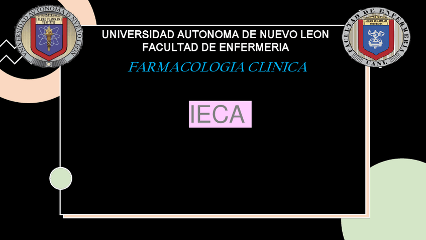 Miniatura del documento IECAs.pdf