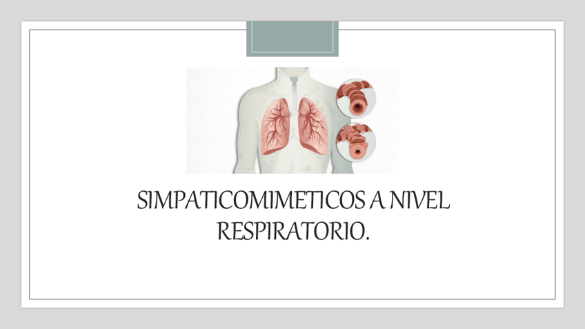 Miniatura del documento Simpaticomimeticos-respiratorios.pdf