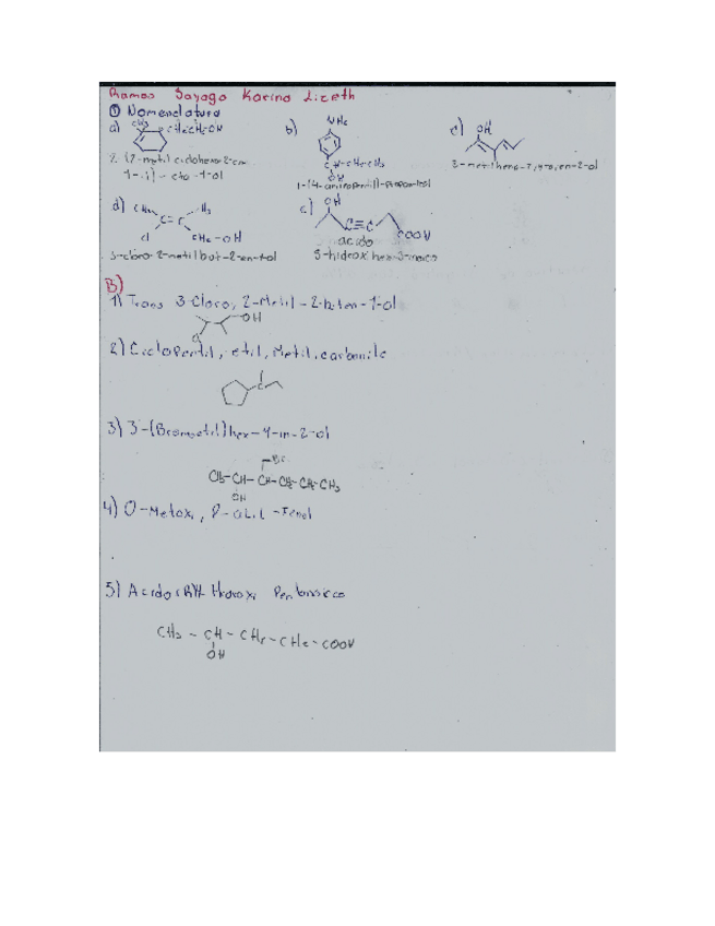 Miniatura del documento examen-organica-ramos-sayago-karina-lizeth.docx