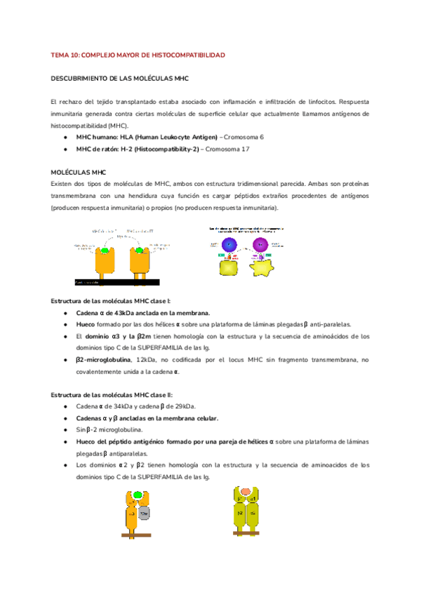 Miniatura del documento TEMA-9-1.pdf