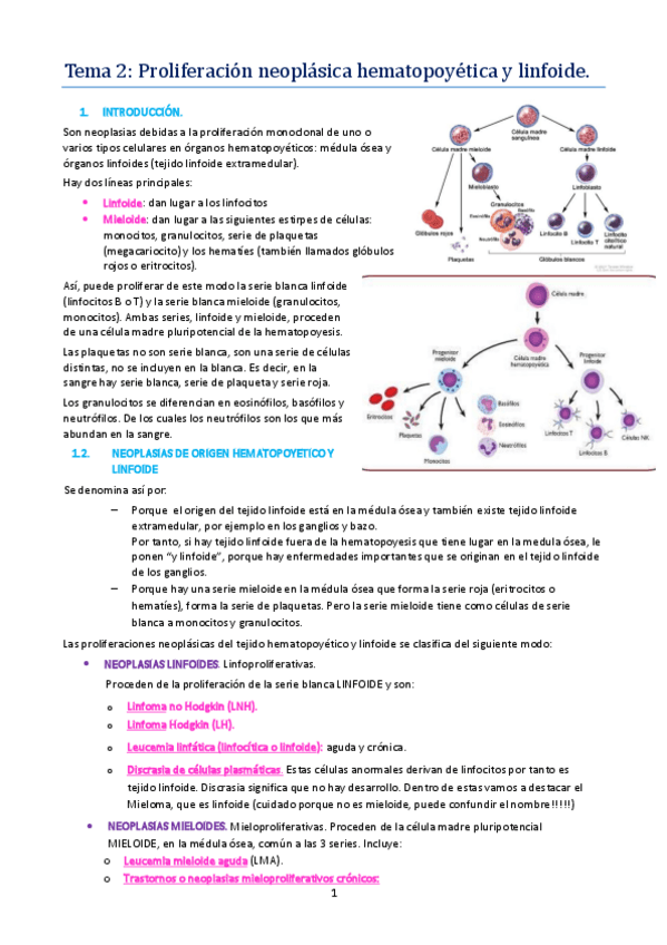 Miniatura del documento TEMA 2.pdf