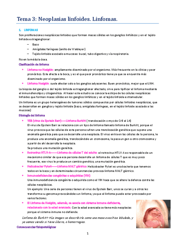 Miniatura del documento TEMA 3.pdf