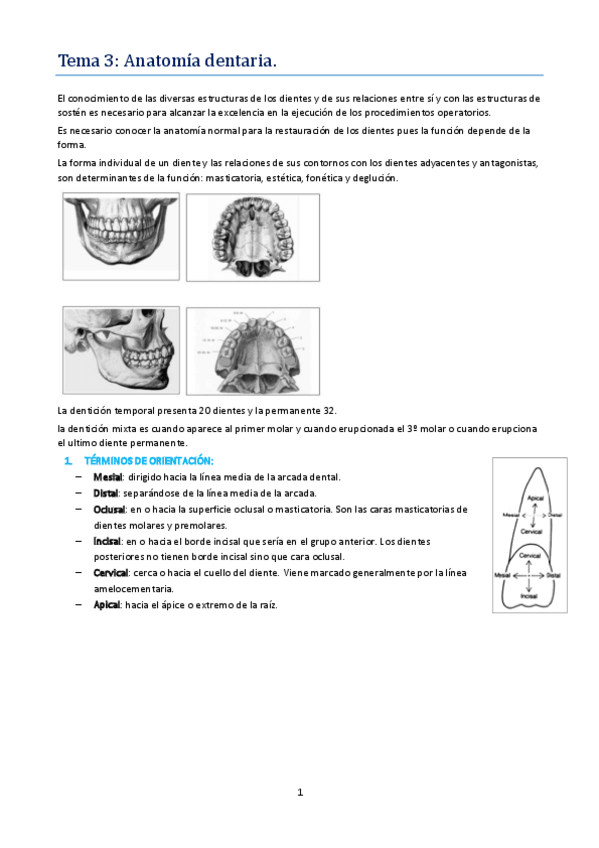 Miniatura del documento TEMA 3 .pdf