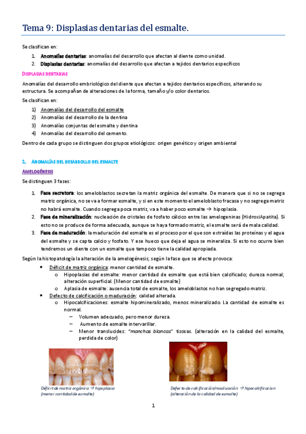 Miniatura del documento tema 9.pdf