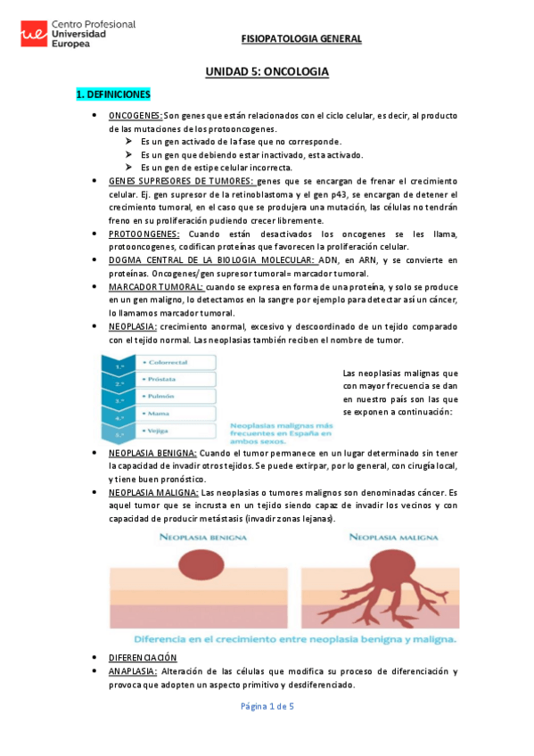 Miniatura del documento UNIDAD-5-ONCOLOGIA-APUNTES.pdf