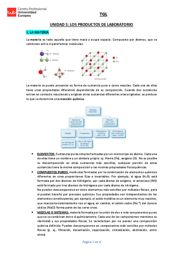 Miniatura del documento UNIDAD-5-TGL-APUNTES.pdf