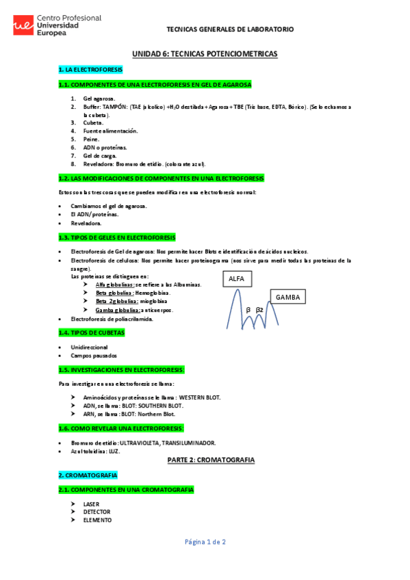 Miniatura del documento UNIDAD-6-TGL-ELECTROFORESIS-Y-CROMATOGRAFIA.pdf