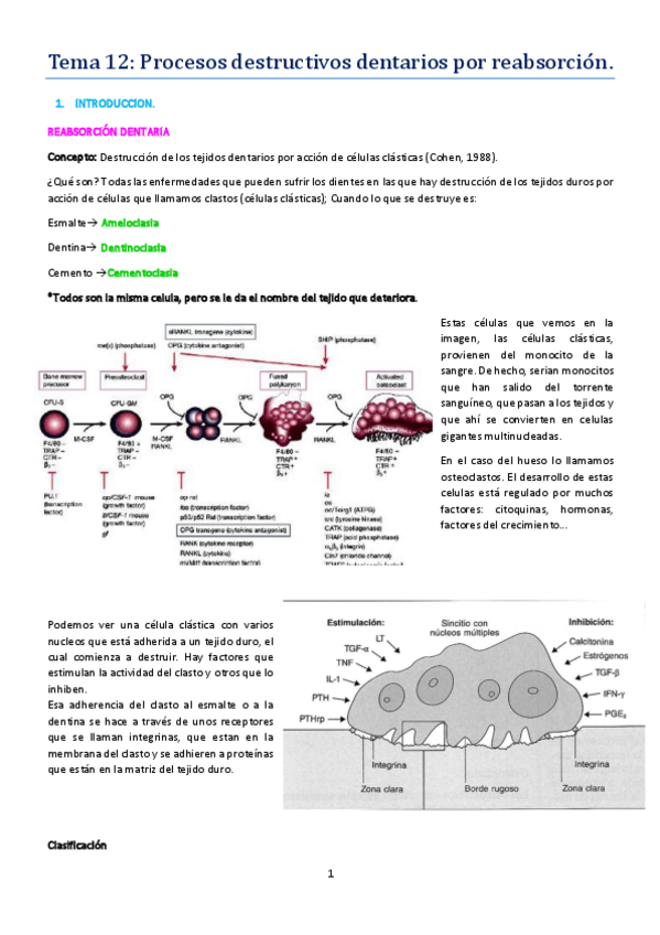 Miniatura del documento tema 12 .pdf