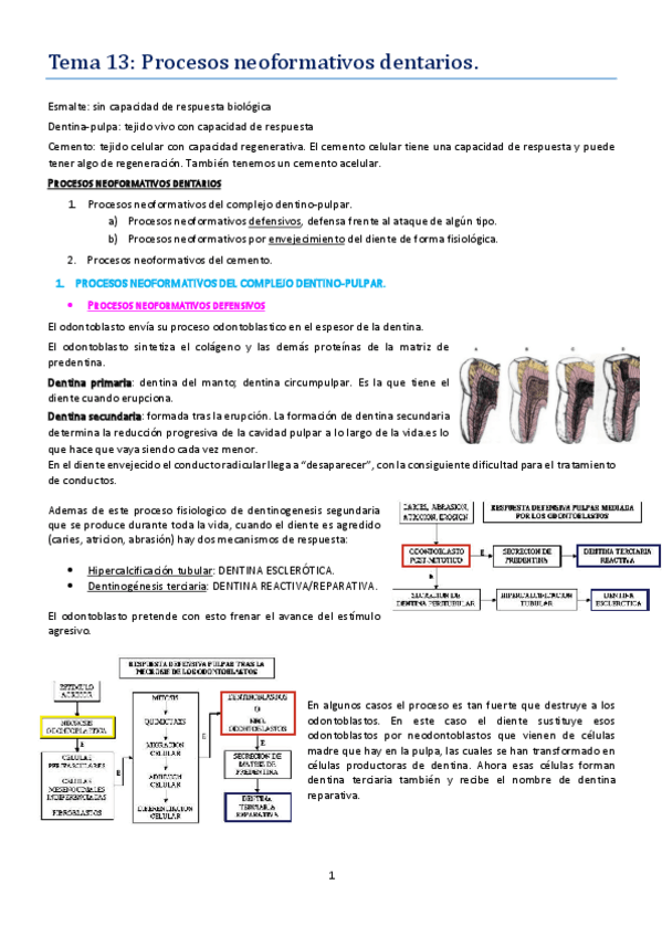 Miniatura del documento tema 13.pdf