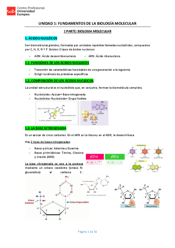 Miniatura del documento BIOLOGIA-MOLECULAR-U1.pdf