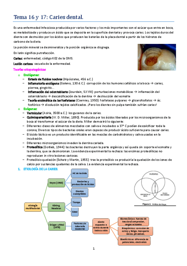 Miniatura del documento TEMA 16 y 17.pdf