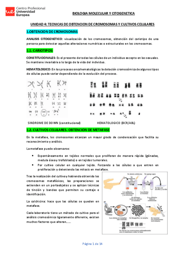 Miniatura del documento UNIDAD-4-BMCG-apuntes.pdf