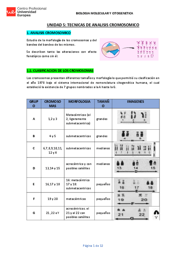 Miniatura del documento UNIDAD-5-BMCG-APUNTES-COMPLETOS.pdf