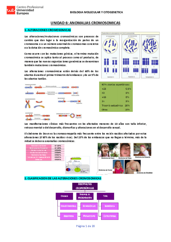 Miniatura del documento UNIDAD-6-BMYCG-APUNTES-COMPLETOSS.pdf
