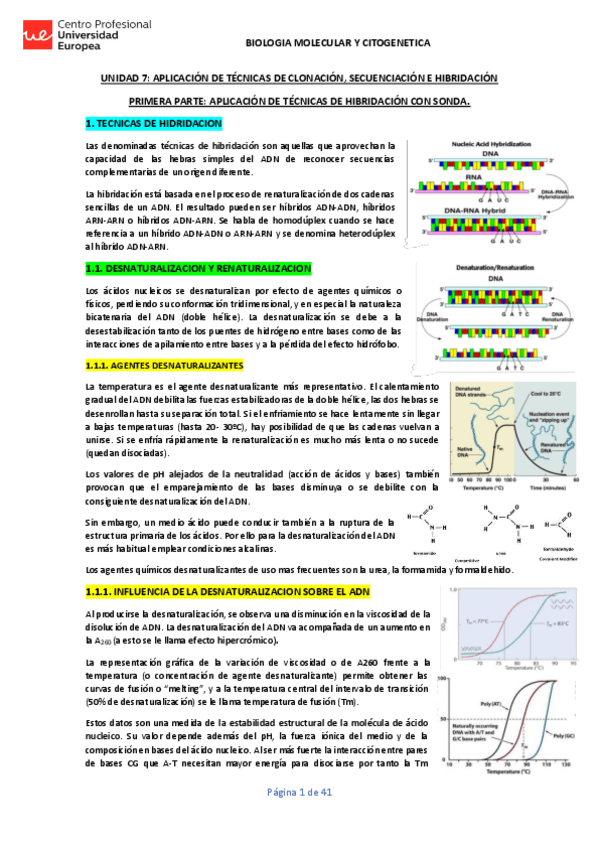 Miniatura del documento UNIDAD-7-BMCG-APUNTES.pdf