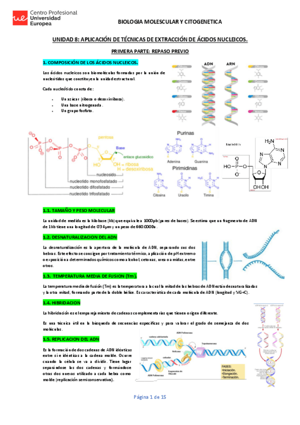 Miniatura del documento UNIDAD-8-BMG-APUNTES.pdf