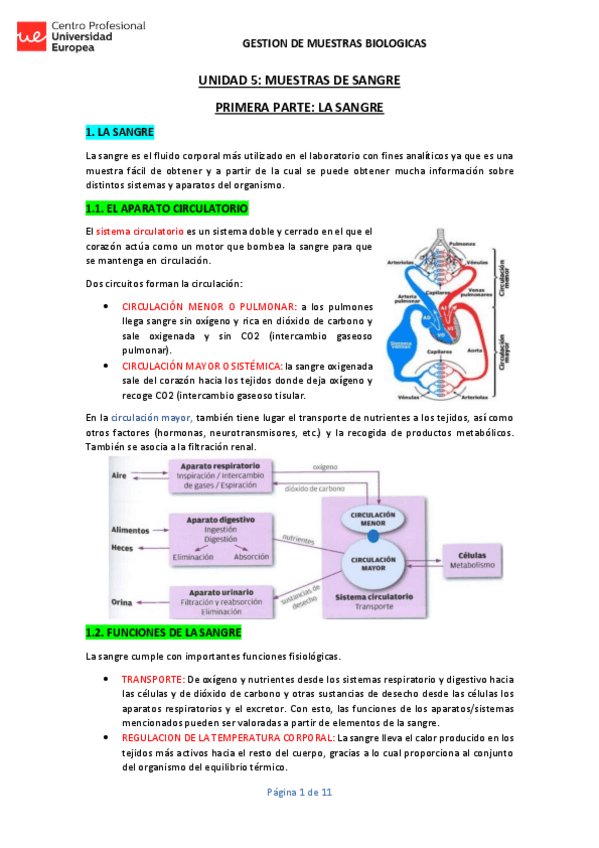 Miniatura del documento UNIDAD-5-GMB.pdf