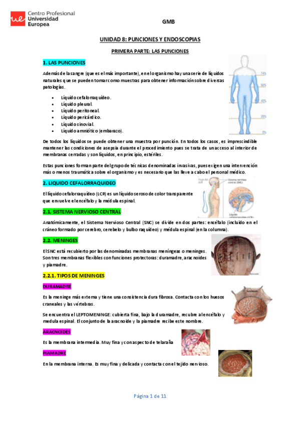 Miniatura del documento UNIDAD-8-GMB-APUNTES.pdf