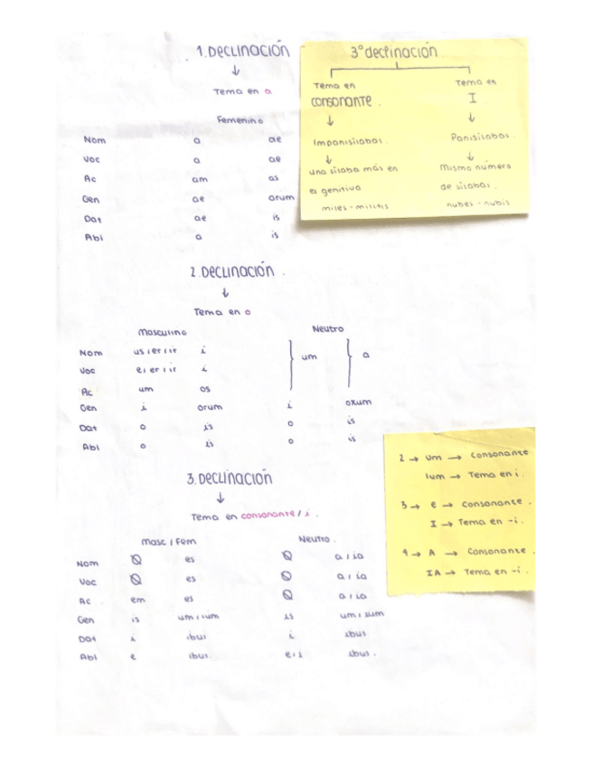 Miniatura del documento INTRODUCCION-AL-LATIN.pdf