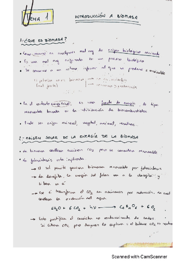 Miniatura del documento tema-1-biomasa-2022.pdf