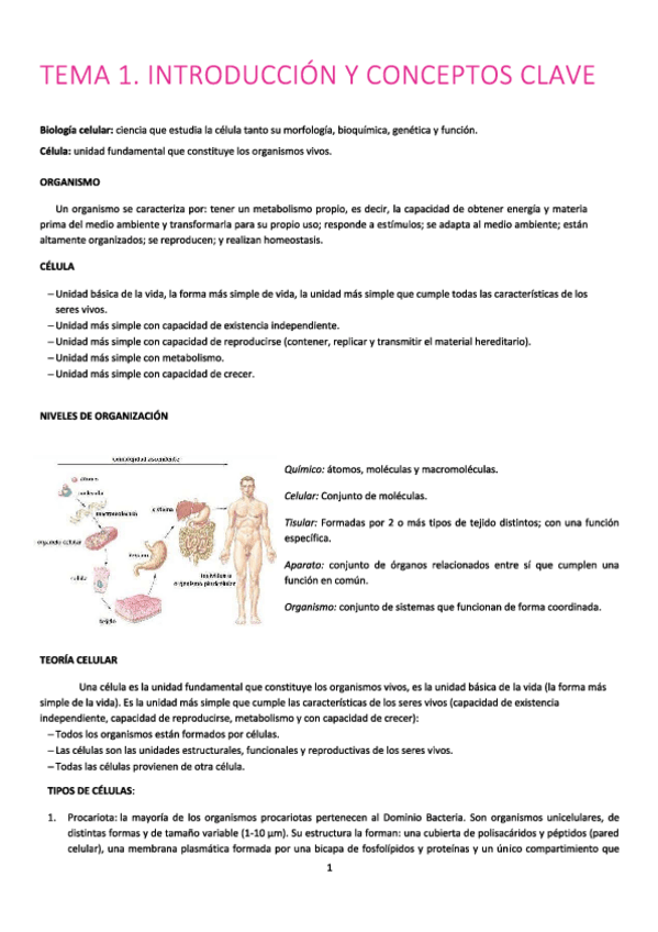 Miniatura del documento biologia-wuolah.pdf
