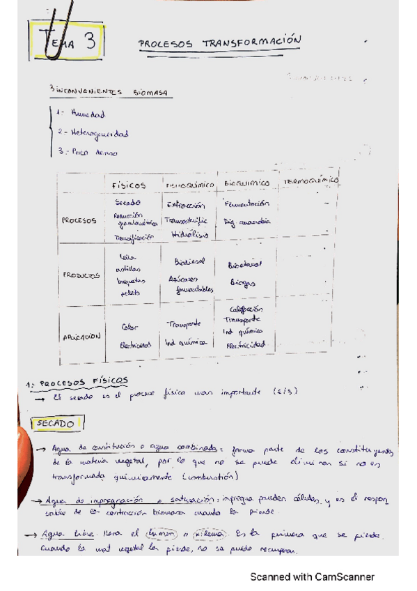 Miniatura del documento tema-3-biomasa-2022.pdf