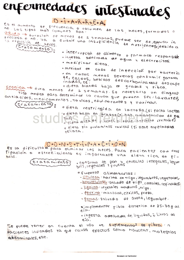 Miniatura del documento enfermedades-intestinales.pdf