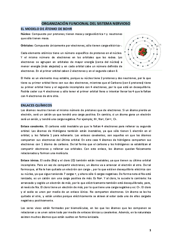 Miniatura del documento Fisiologia-del-Sistema-Nervioso.pdf