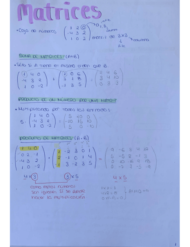 Miniatura del documento MATRICES.pdf