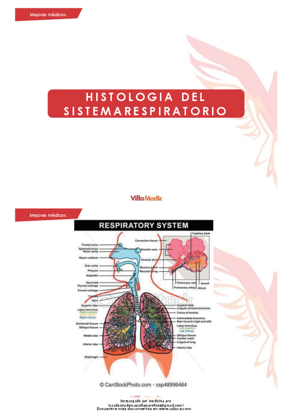 Miniatura del documento histologia-del-aparato-respiratorio.pdf