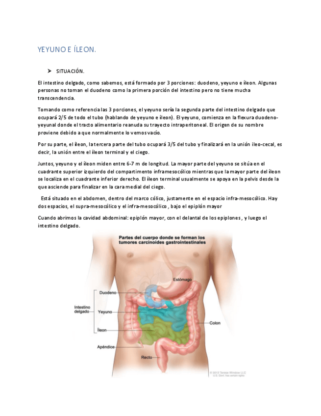 Miniatura del documento TEMA 6.pdf