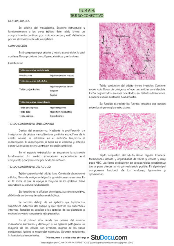 Miniatura del documento Tejido-conectivo-Clasificacion-TC-embrionario-TC-del-adulto-Celulas-Matriz-extracelular-Fibras-Histologia.pdf