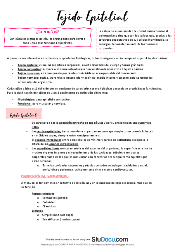 Miniatura del documento Tejido-epitelial-Histologia.pdf