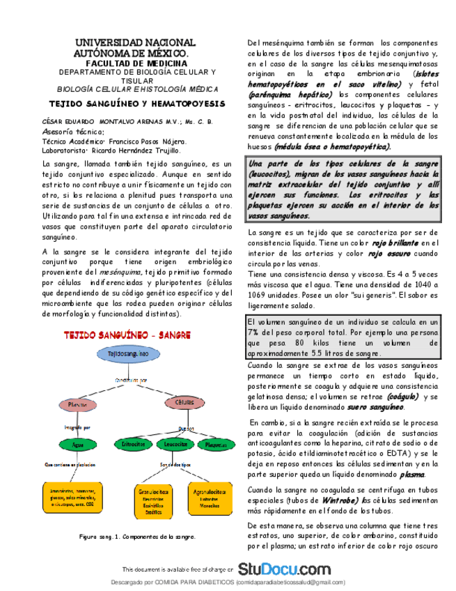 Miniatura del documento Tejido-sanguineo-histologia.pdf