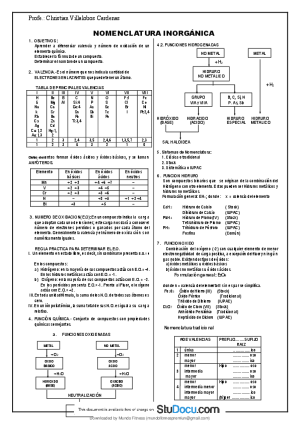 Miniatura del documento QUIM-Guia-1-Nomenclatura-Inorganica.pdf