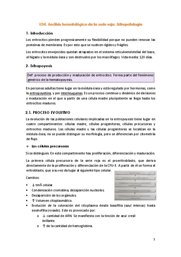 Miniatura del documento UD4-Analisis-hematologico-de-la-serie-roja.pdf