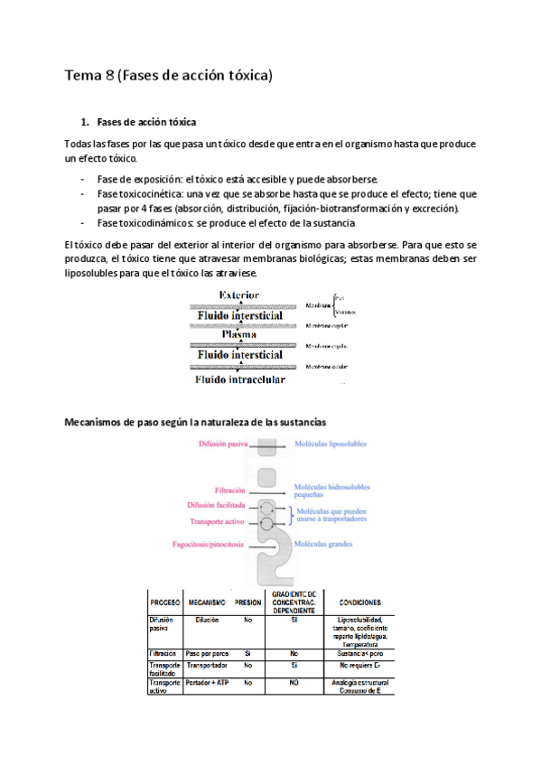 Miniatura del documento Tema-8.pdf