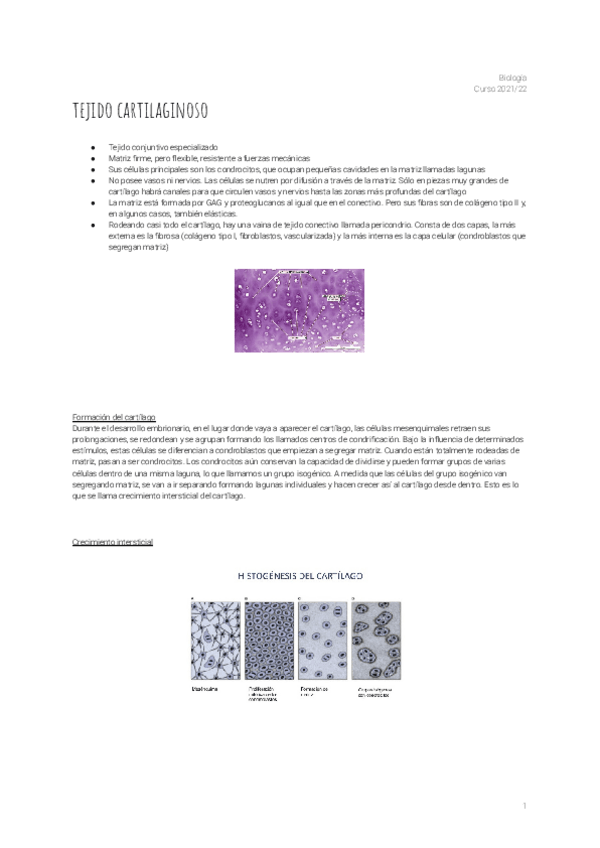Miniatura del documento 7.Tej-Cartilaginoso.pdf