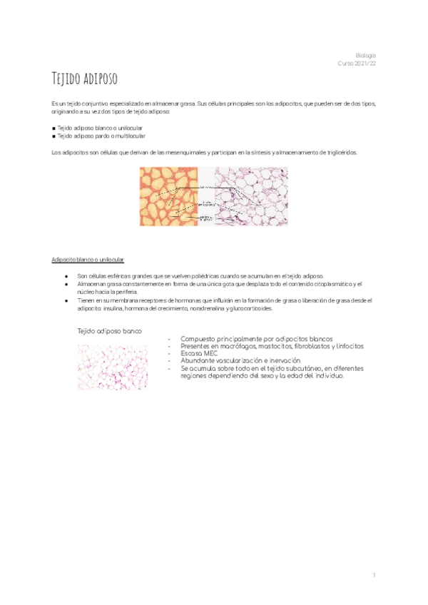 Miniatura del documento 6.pdf