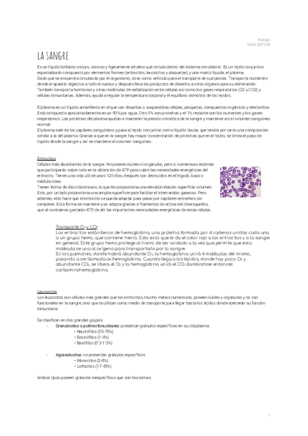 Miniatura del documento 11.pdf