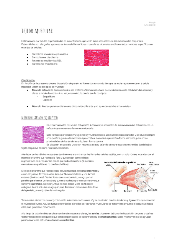 Miniatura del documento 9.pdf