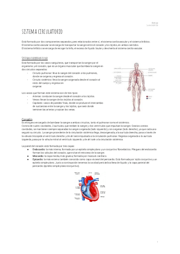 Miniatura del documento 12.pdf