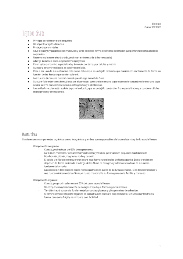 Miniatura del documento 8.pdf