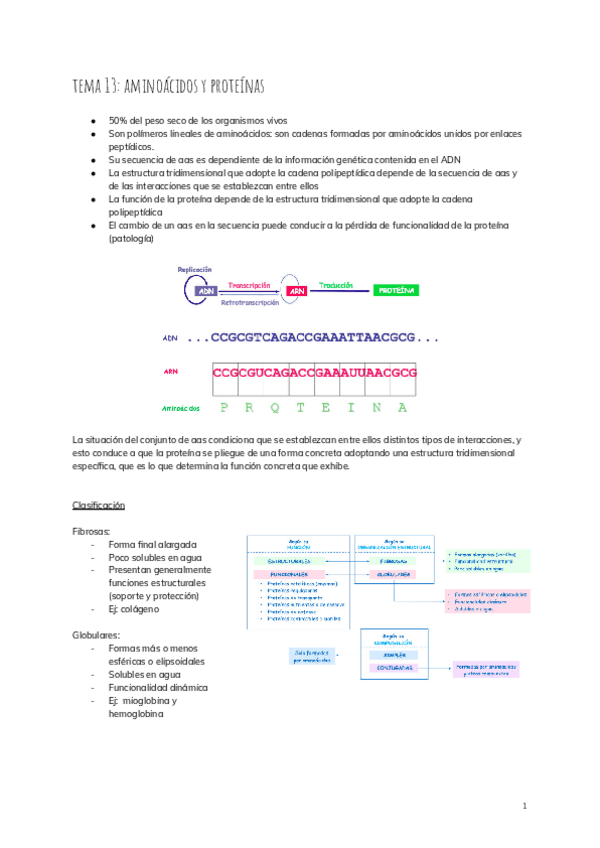 Miniatura del documento tema-13-aminoacidos-y-proteinas-2.pdf